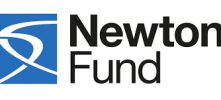 British Council Newton Fund: Government against COVID-19